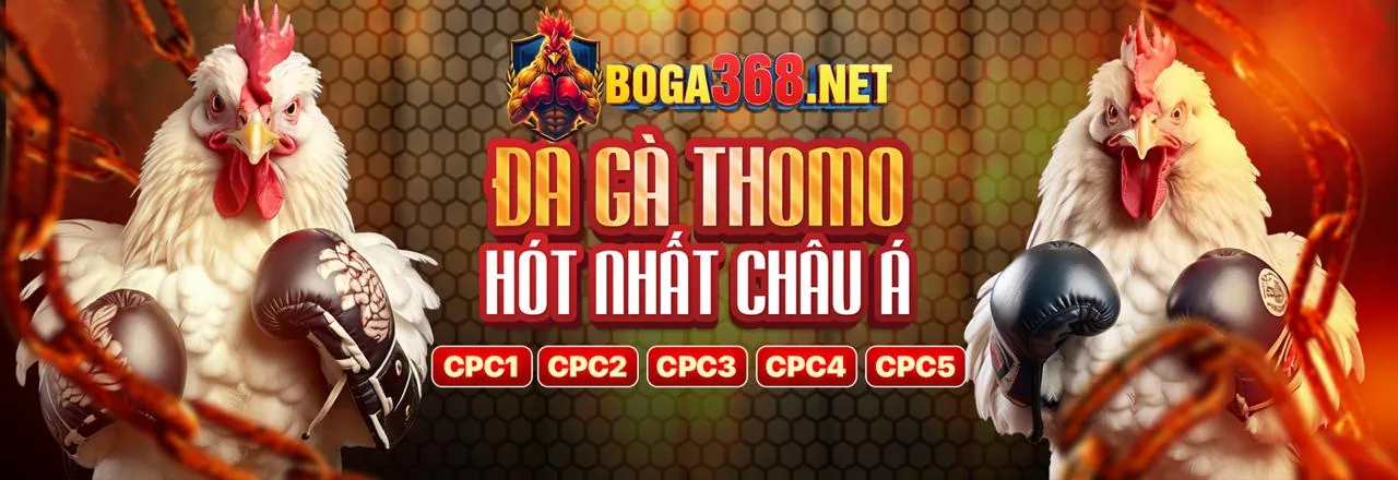 Chương Trình VIP 5mb Casino với các đặc quyền độc quyền