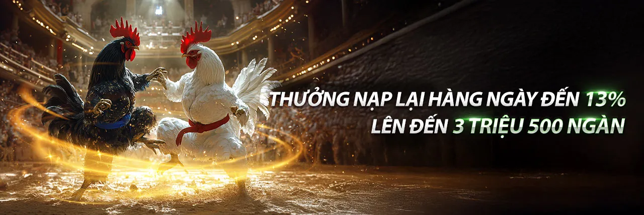 Hình ảnh tổng quan về 5mb casino - Nền tảng cá cược trực tuyến hàng đầu