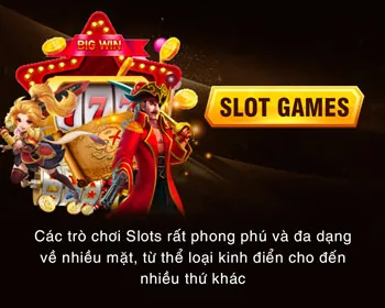 Dealer chuyên nghiệp