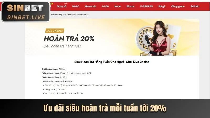 Biểu đồ cấp bậc VIP tại 5mb Casino